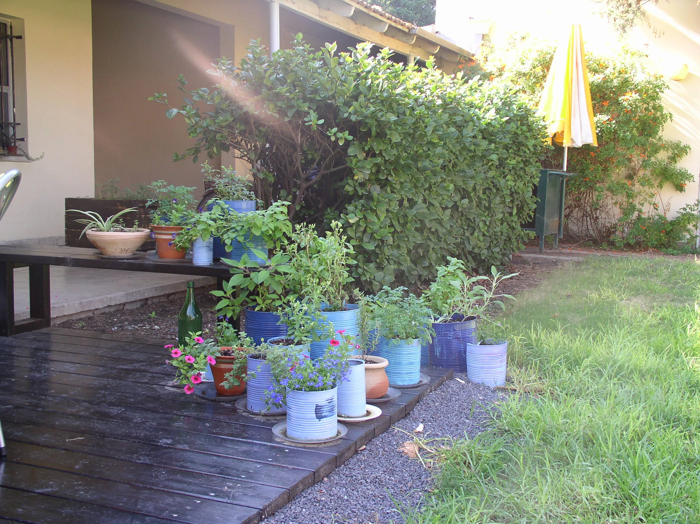 בית קפה - תמונה 5